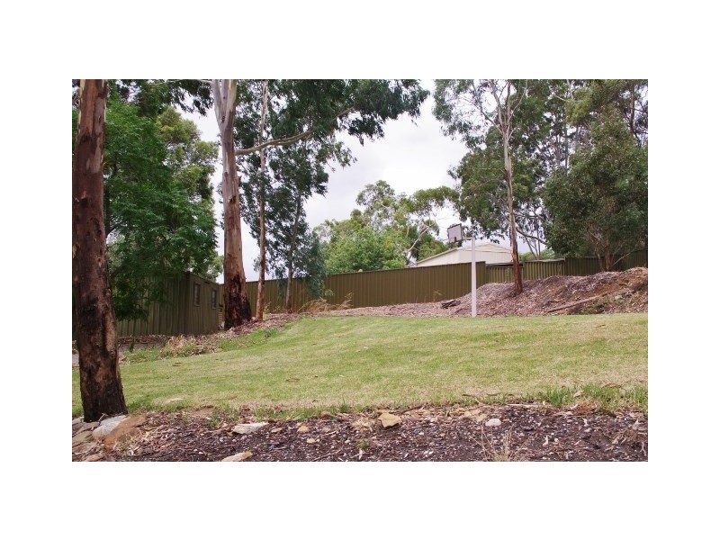 9 Neville Street, Coromandel Valley SA 5051