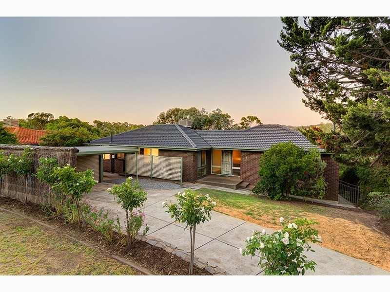 5 Goldsack Avenue, Coromandel Valley SA 5051