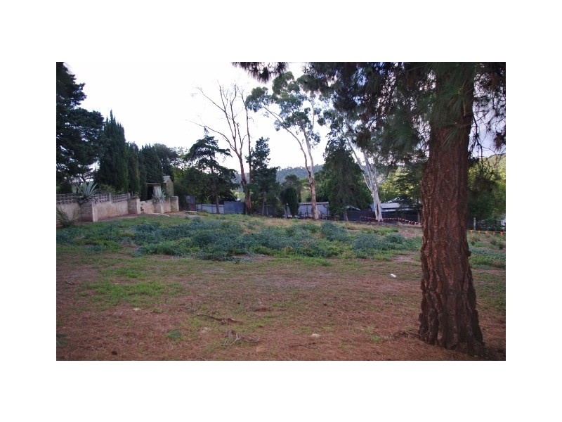 65 Light Road, Coromandel Valley SA 5051