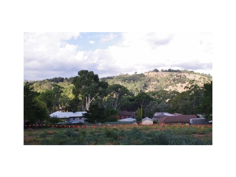 67 Light Road, Coromandel Valley SA 5051