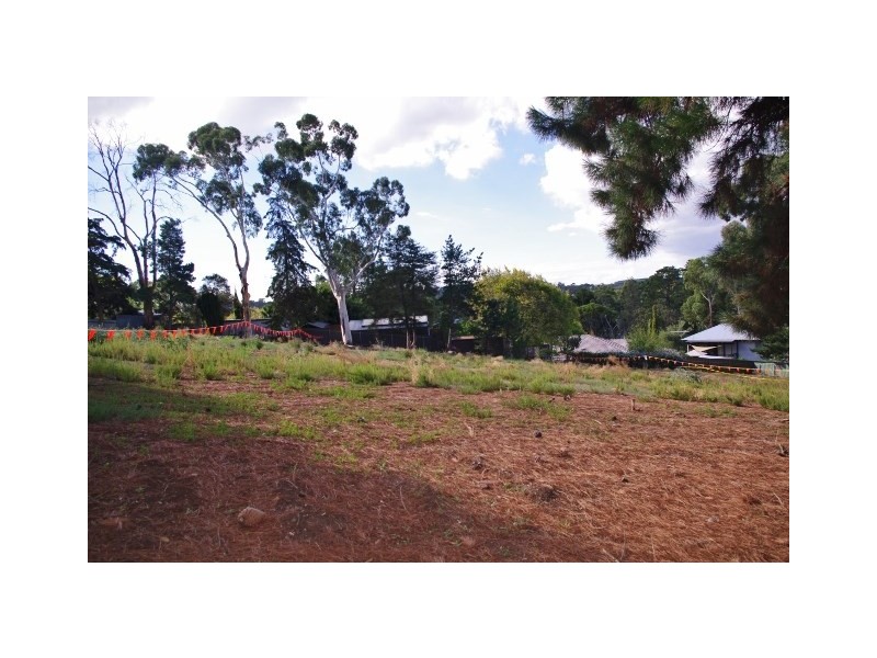 67 Light Road, Coromandel Valley SA 5051