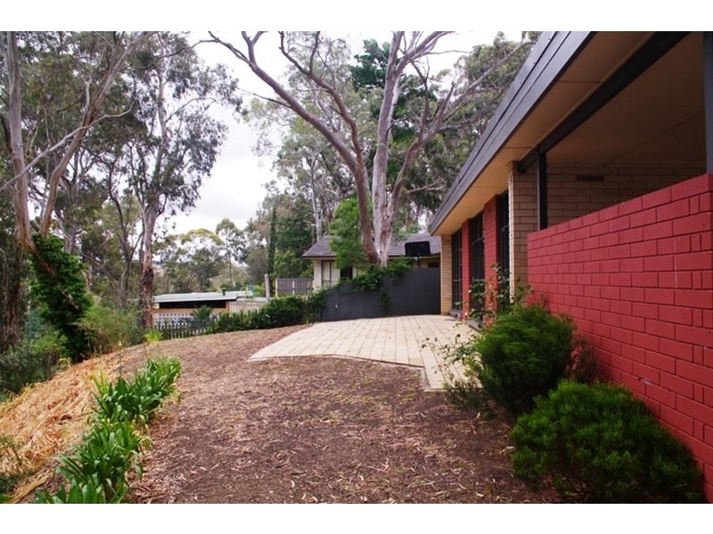 14 Winns Road, Coromandel Valley SA 5051