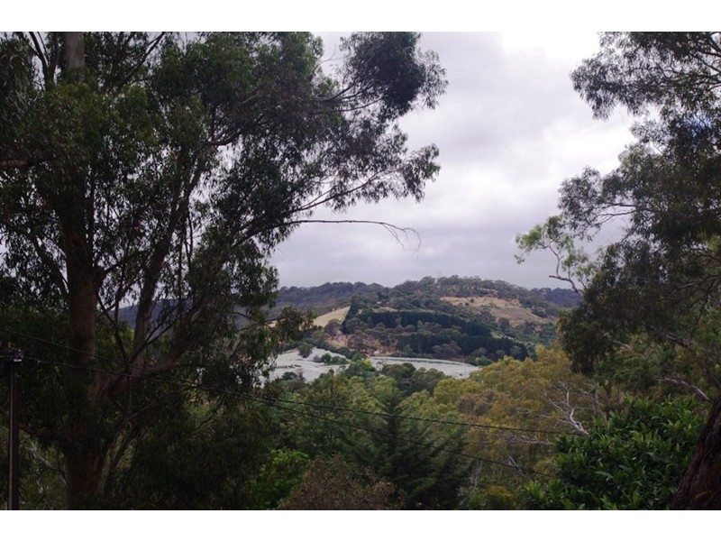 14 Winns Road, Coromandel Valley SA 5051