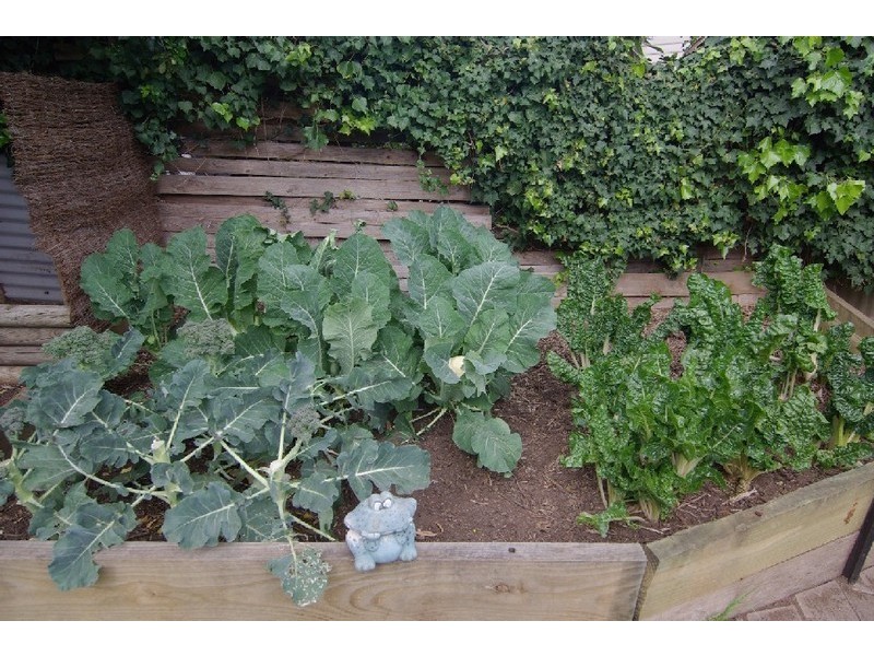 5 Acorn Avenue, Blackwood SA 5051