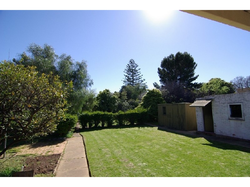 46 Wilton Avenue, Somerton Park SA 5044