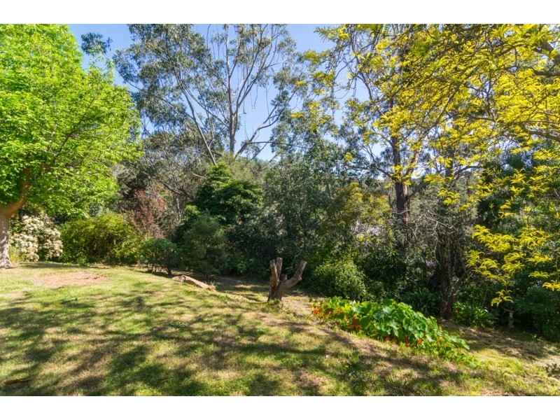 13 Patricia Street, Coromandel Valley SA 5051