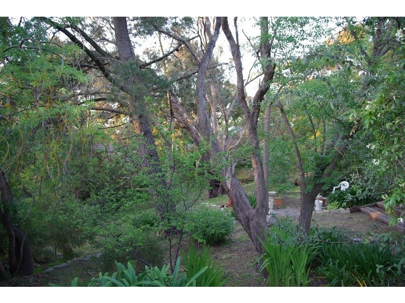 16 Young Street, Blackwood SA 5051