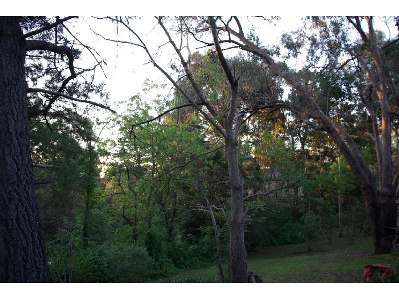 16 Young Street, Blackwood SA 5051