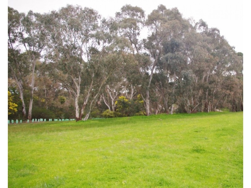 9 De Castella Avenue, Wynn Vale SA 5127