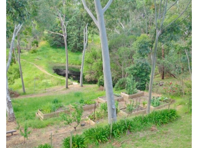 6 Banksia Crescent, Belair SA 5052