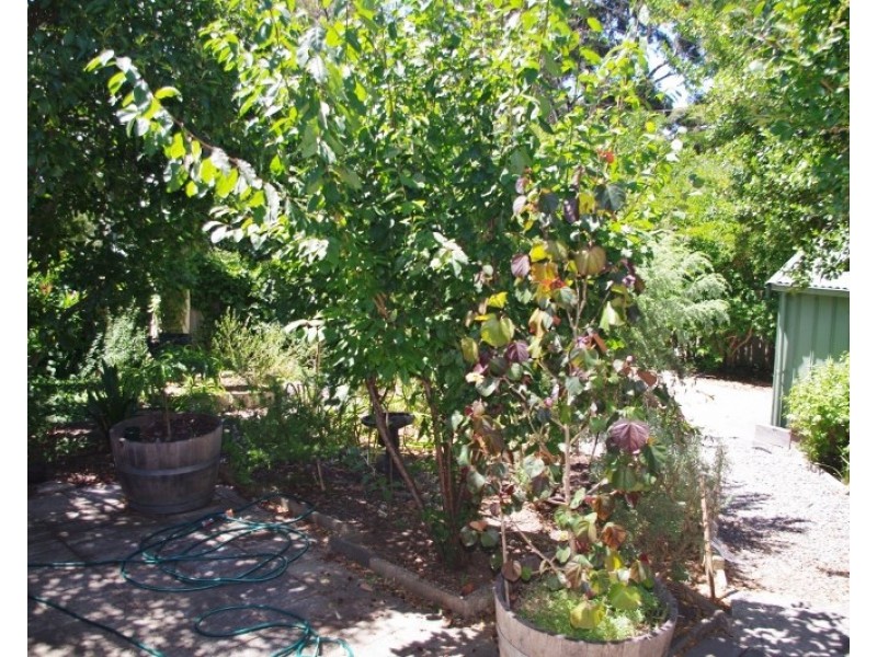 1/3 Fern Road, Blackwood SA 5051