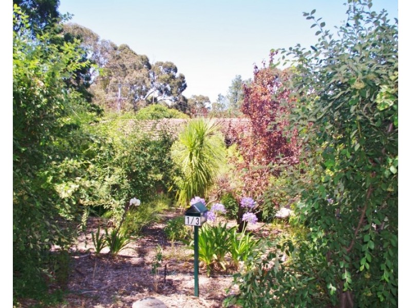 1/3 Fern Road, Blackwood SA 5051