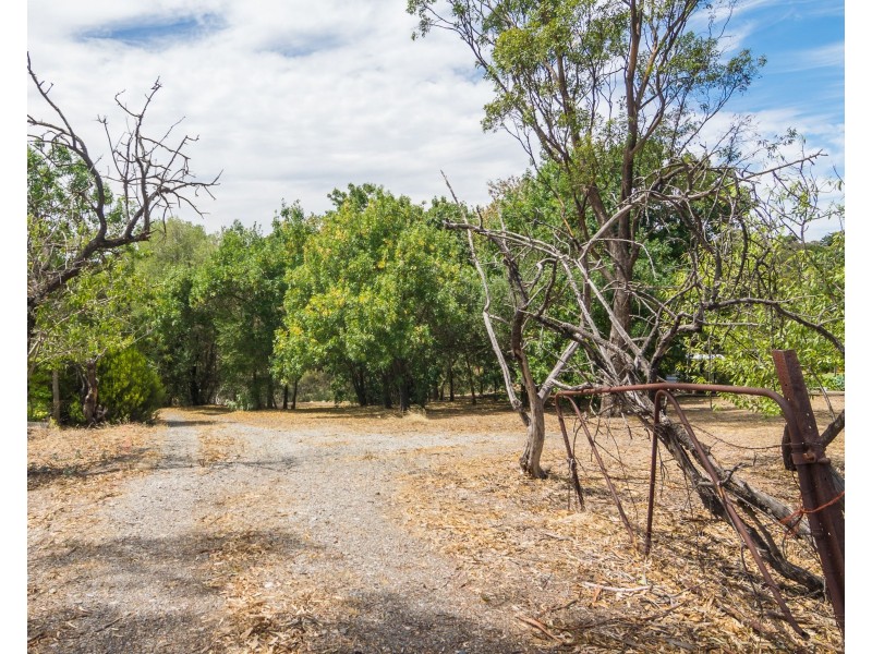 Lot 6/20 Wonoka Street, Eden Hills SA 5050
