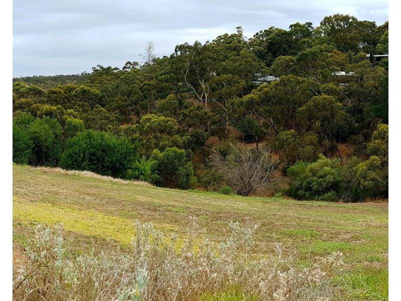 Lot 6/20 Wonoka Street, Eden Hills SA 5050