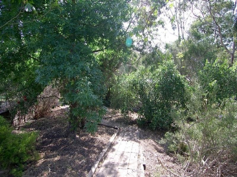 1 Trevor Terrace, Blackwood SA 5051