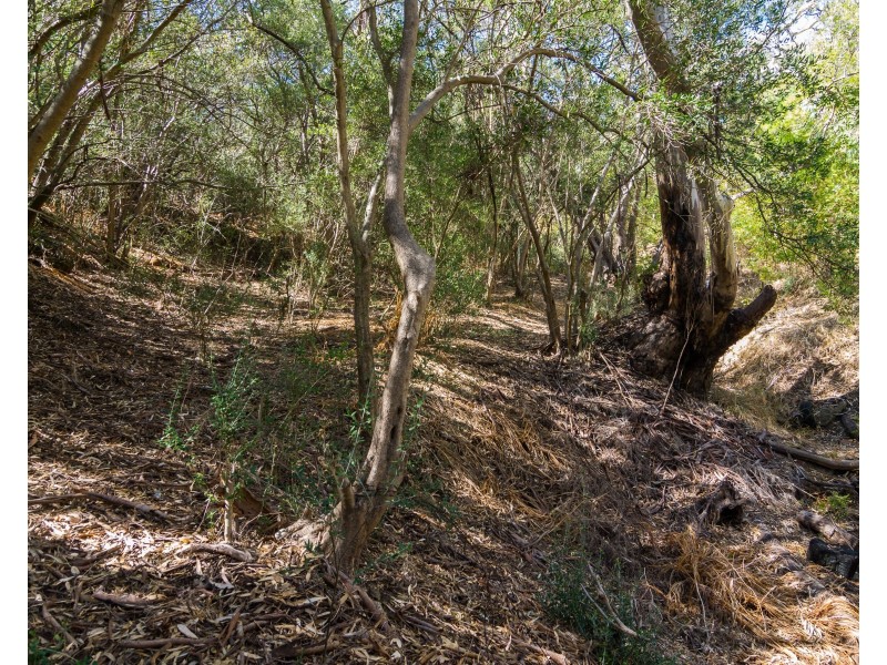 7 Euro Avenue, Eden Hills SA 5050