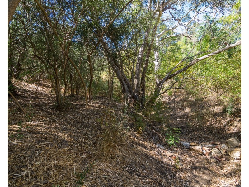 7 Euro Avenue, Eden Hills SA 5050