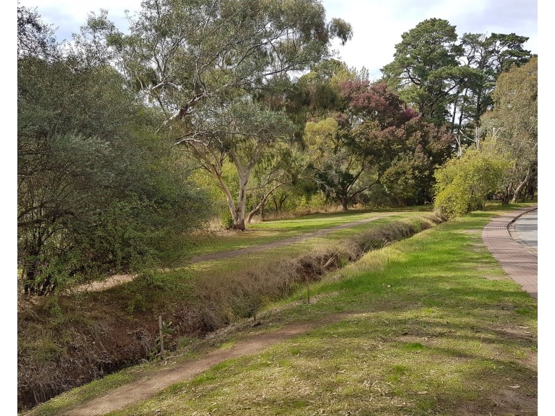 12 Wyndham Drive, Coromandel Valley SA 5051