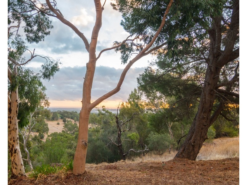 694 Main Road, Chandlers Hill SA 5159