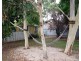 56 Auricchio Avenue, St Marys SA 5042