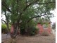 56 Auricchio Avenue, St Marys SA 5042