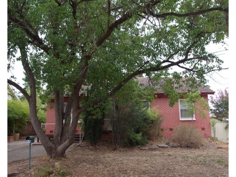 56 Auricchio Avenue, St Marys SA 5042