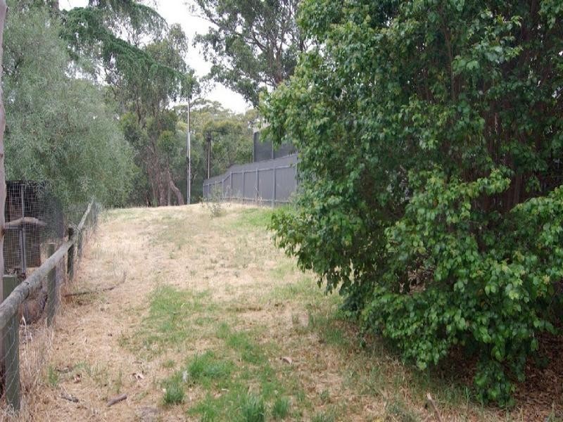 13A Baldina Street, Eden Hills SA 5050