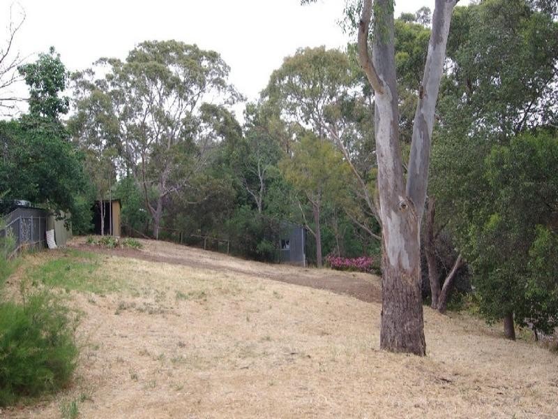 13A Baldina Street, Eden Hills SA 5050