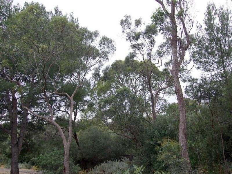 13A Baldina Street, Eden Hills SA 5050