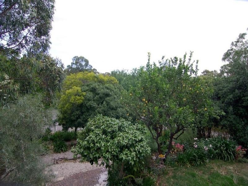 19 Parham Road, Eden Hills SA 5050