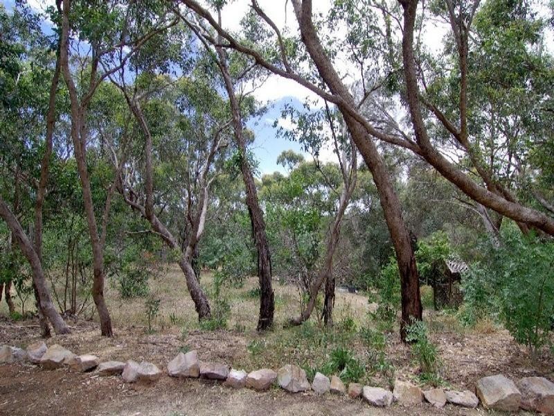 20 Clearview Avenue, Belair SA 5052