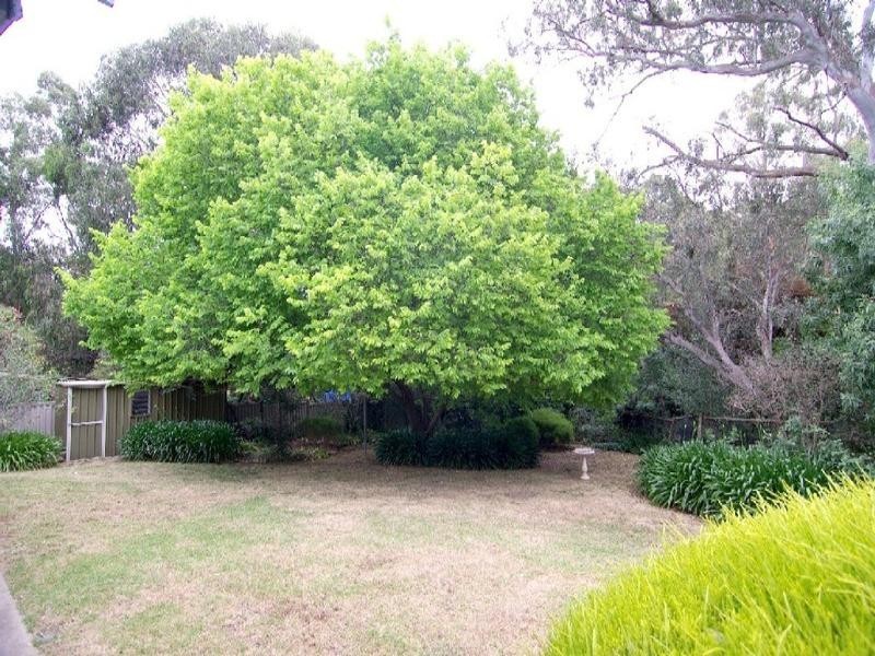 3 Goldney Grove, Hawthorndene SA 5051