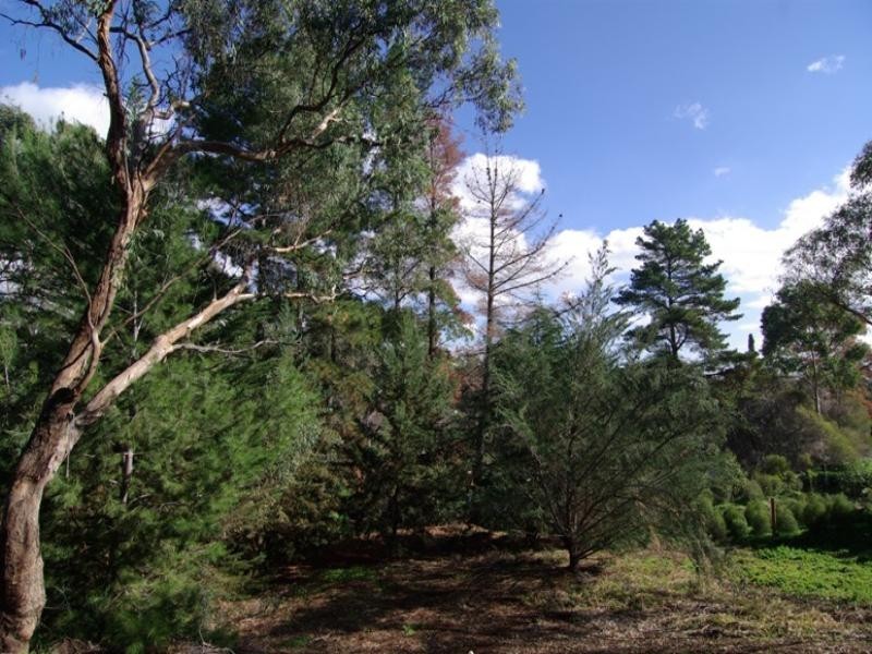 16 Deepdene Avenue, Bellevue Heights SA 5050