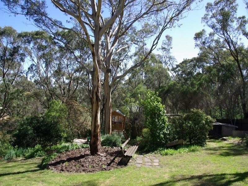 1 Scherer Avenue, Coromandel Valley SA 5051