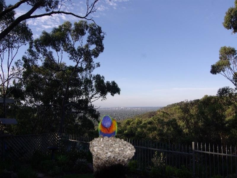 8 Mead Street, Belair SA 5052