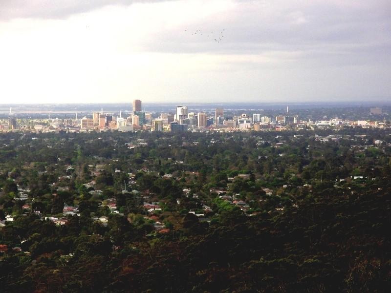 8 Mead Street, Belair SA 5052