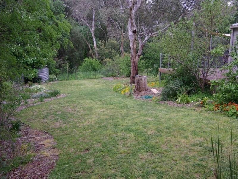 19 Sturt Avenue, Hawthorndene SA 5051