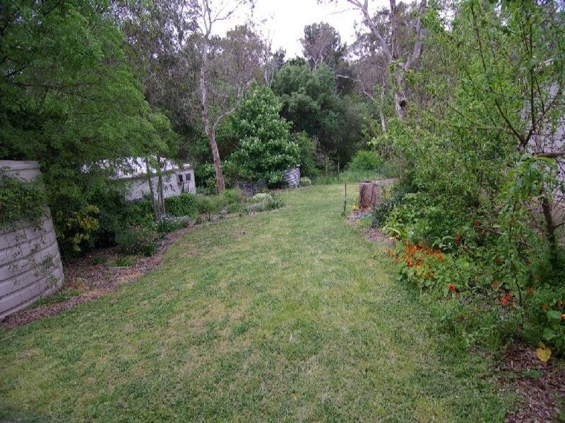 19 Sturt Avenue, Hawthorndene SA 5051