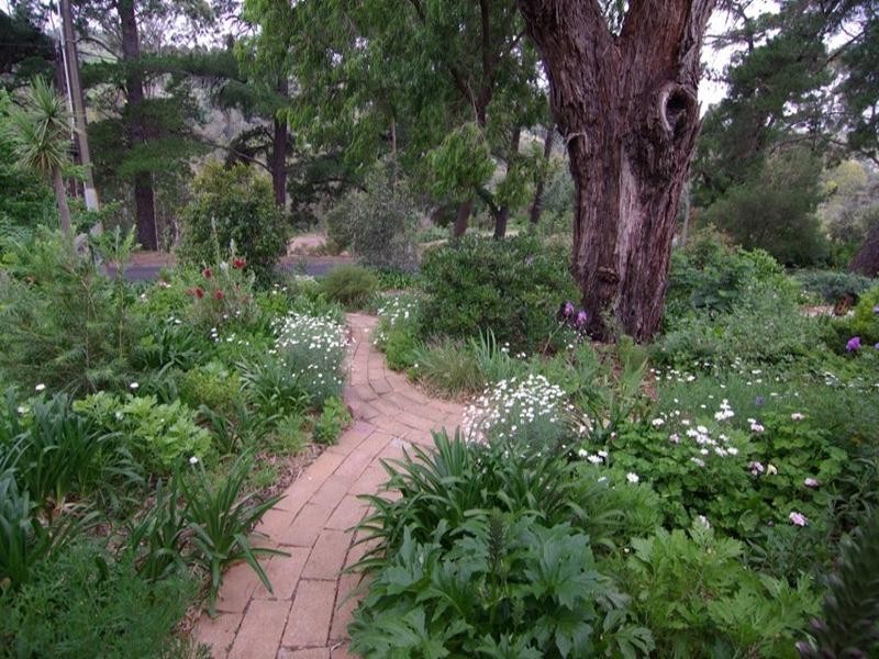 182 Coromandel Parade, Coromandel Valley SA 5051