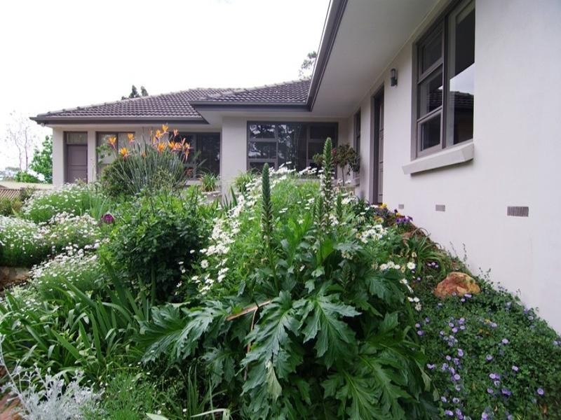 182 Coromandel Parade, Coromandel Valley SA 5051