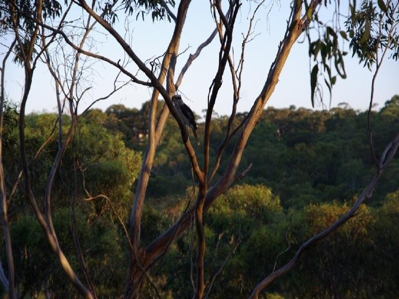 21 Neate Avenue, Blackwood SA 5051