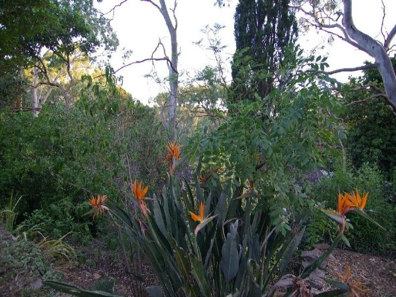 1 Rankeys Hill Road, Hawthorndene SA 5051