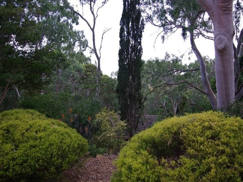 1 Rankeys Hill Road, Hawthorndene SA 5051