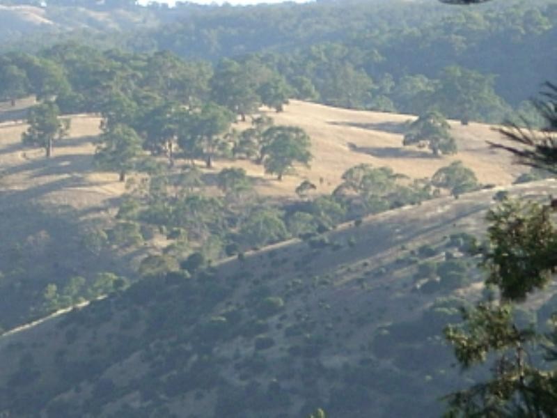 6 Craigwood Drive, Belair SA 5052