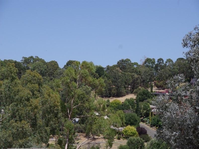 8 Rowlands Hill Road, Coromandel Valley SA 5051