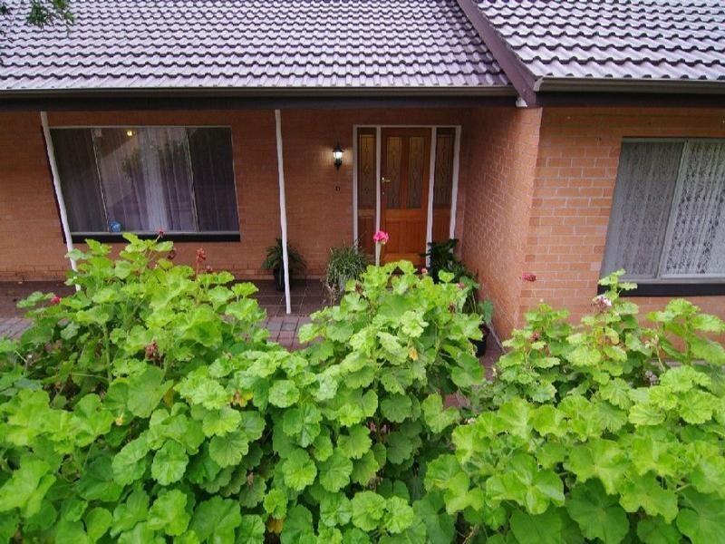 14 Protea Avenue, Coromandel Valley SA 5051