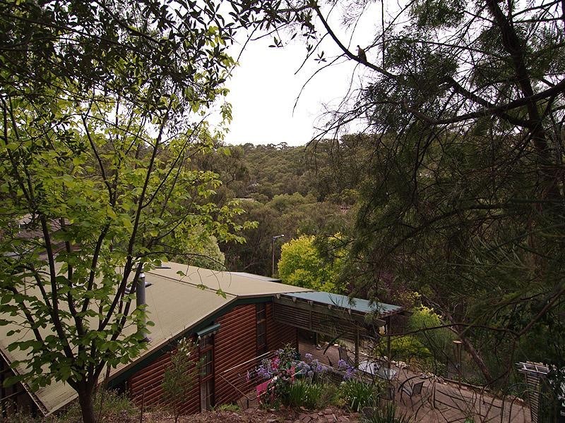 3 Waratah Close, Belair SA 5052