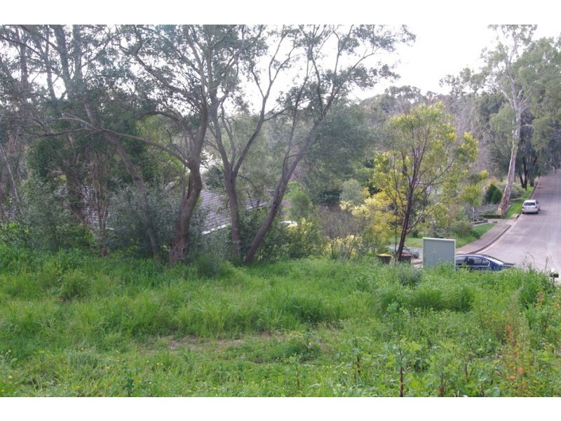 14 Sean Court, Coromandel Valley SA 5051