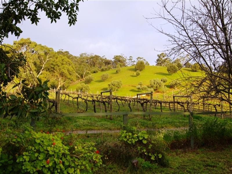 108 Turners Avenue, Hawthorndene SA 5051