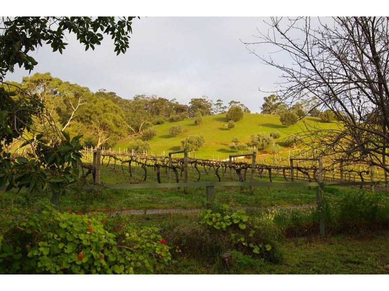 108 Turners Avenue, Hawthorndene SA 5051